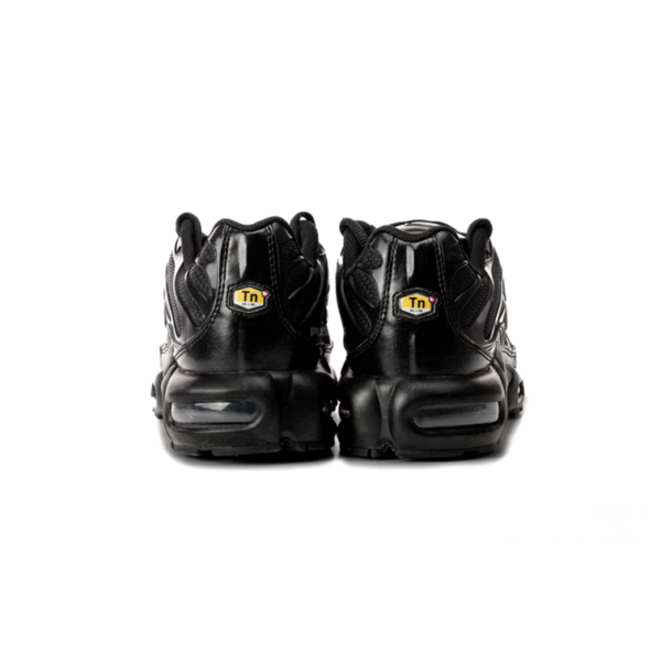 Men’s Air max plus TN